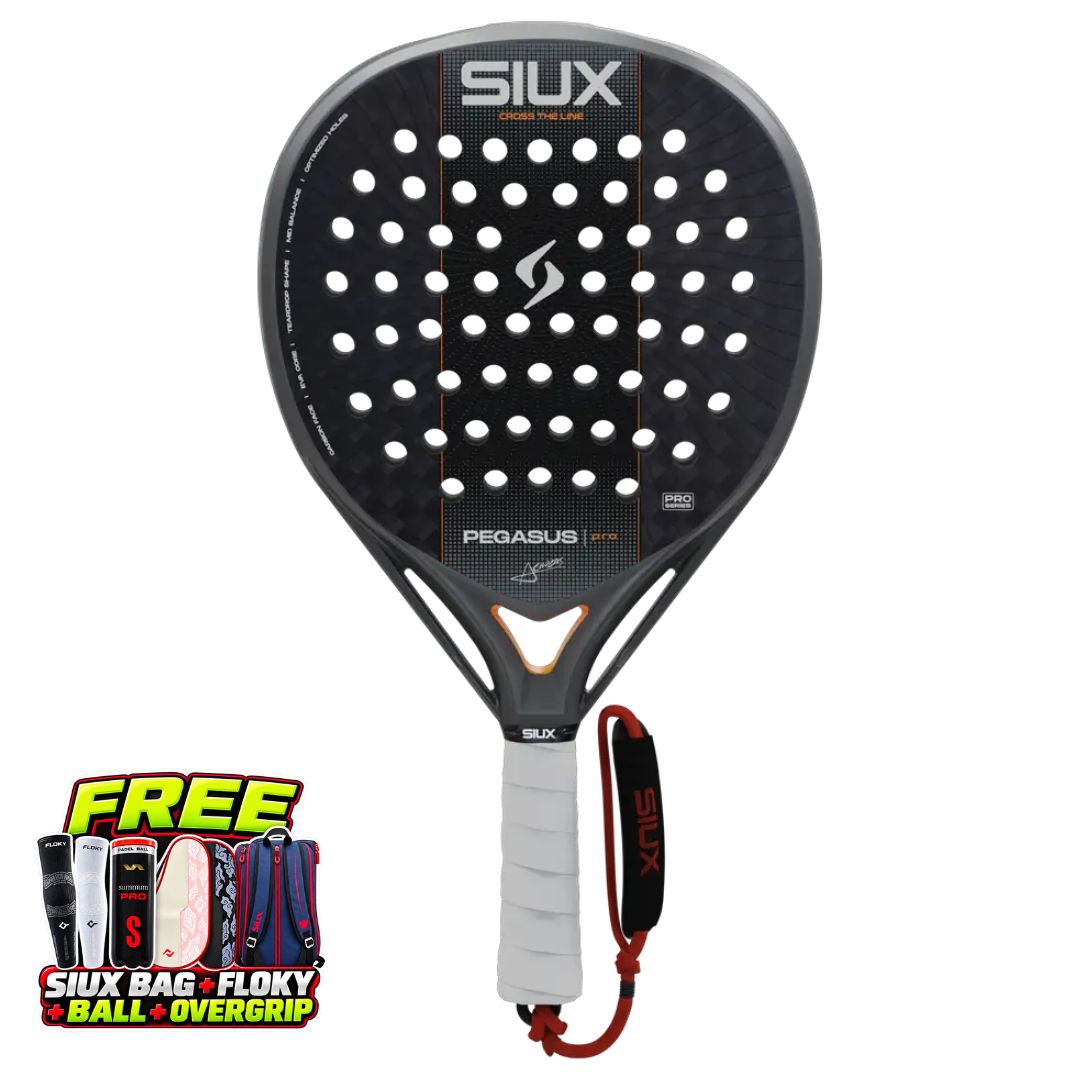 Siux Pegasus Pro Silver 2027  by Alex Chozas